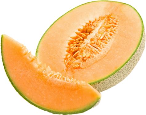 Melon Png Tube Fruit Melone Melon Transparent Png