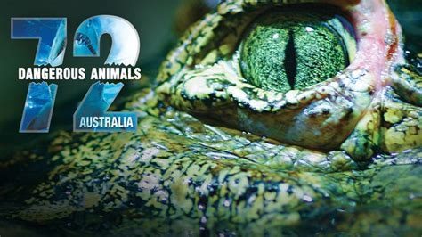 72 Dangerous Animals Australia 2014 Série à Voir Sur Netflix