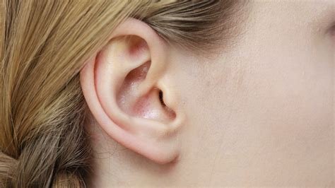 Ear Cancer Lump Cancerwalls
