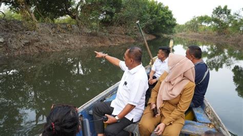 Wawali Surabaya Minta Normalisasi Sungai Mangrove Wonorejo Dihentikan