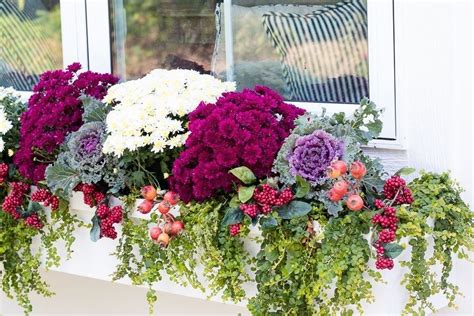 Cheap And Easy Fall Window Boxes Ideas 08 Fall Window Boxes Window Box