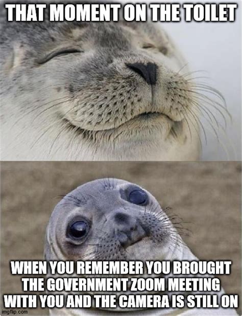 Awkward Moment Seal Memes Gifs Imgflip