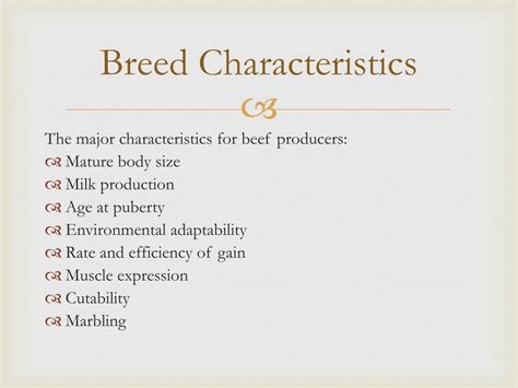 ppt beef cattle powerpoint presentation free download id 6670774