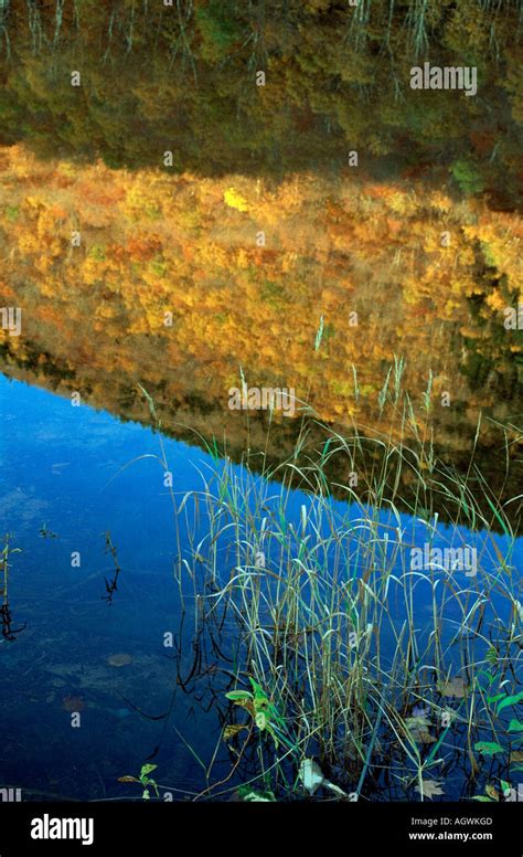 Lake With Mirror Image Stock Photo Alamy