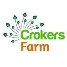 Croker's Bee Farm - Visit Ballyhoura