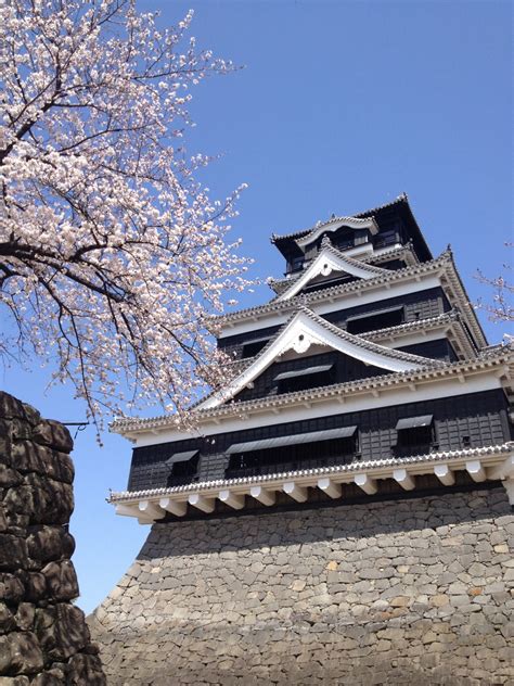 Free Images Architecture Flower Building Spring Tower Japan