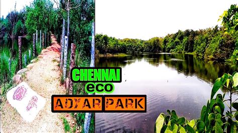சென்னையில் இப்படி ஒரு இடமா Beautiful Adyar Eco Park Forest In