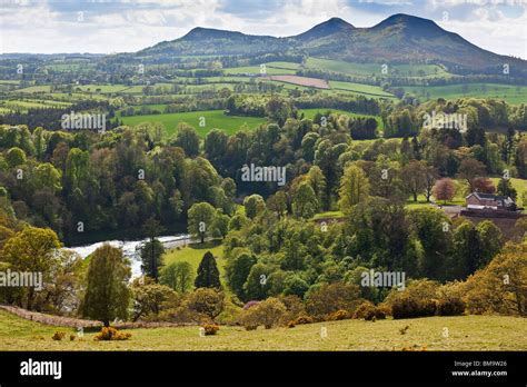 The Eildon Hills In The Scottish Borders Uk In Springtime Scotts