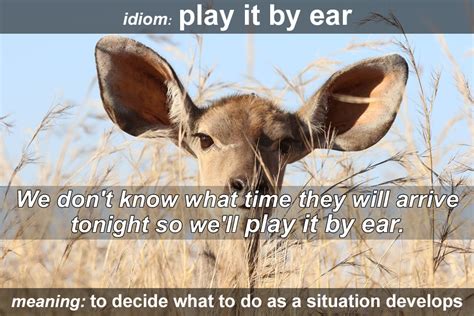 Idiom Play It By Ear Funky English