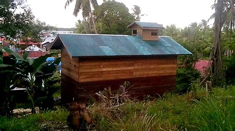 Bahkan, anda bisa balik modal lebih cepat jika keuntungan jual beli sarang burung walet per bulan lebih besar. Walet | Rumah Walet Low Budget - YouTube