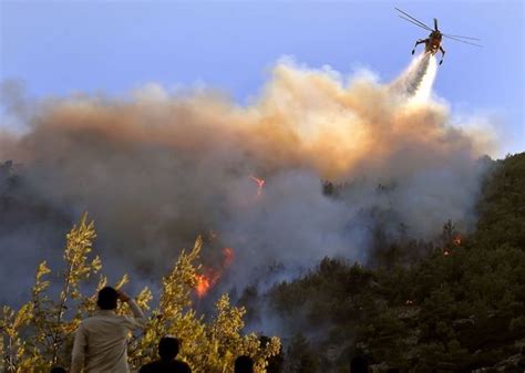 Cyprus Calls For International Aid Amid ‘worst Forest Fire In Cypriot