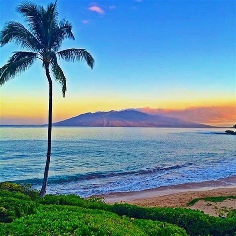 Sunrise In Maui Hawaii 🌴🌴🌅🌅 Picture By Timothysykes Follow His Feed