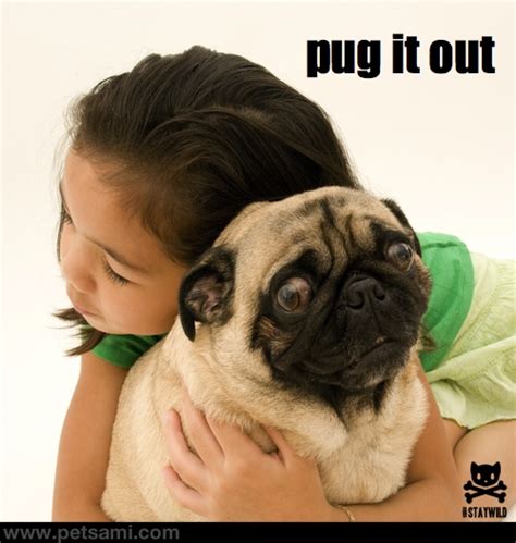 Hug Your Dog Day Animal Hugs Puppies Funny Cute Pugs