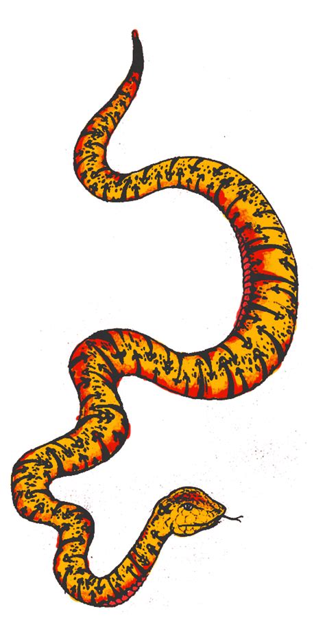 Snake Clipart Colourful Snake Colourful Transparent Free