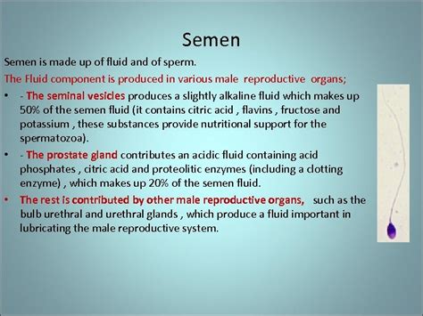 Semen Is Made Up Of Fluid And Of