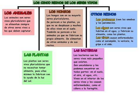 Clasificación De Los Seres Vivos Primaria Los Seres Vivos