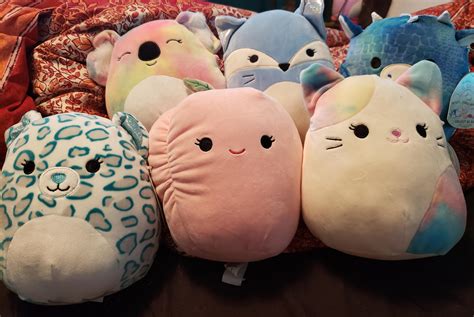 Managed To Get Most Of The New Squad From 5 Below Rsquishmallow