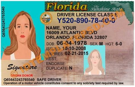 Florida Drivers License Photoshop Template