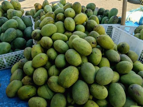 Nikmatnya Kuliner Kuweni Santan Ketan Khas Aceh | Tagar