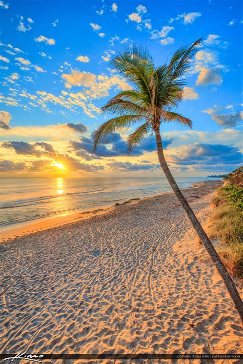 Jupiter Beach Resot Sunrise Coconut Tree At Beach Hdr Photography By