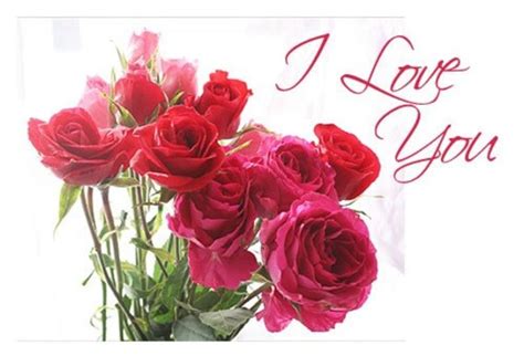 I Love You Red Rose Card Rose Flower Blank Photo Card Etsy