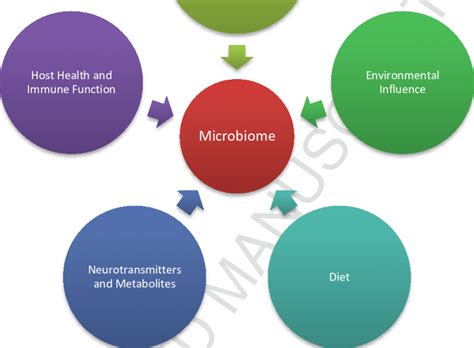 Factors Affecting Gut Microbiota Composition The Host Microbiota