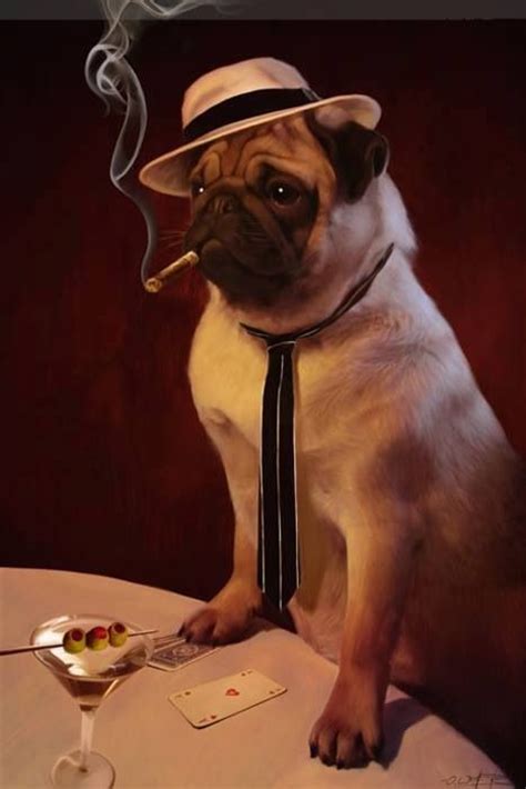 Gangster Pug Pugs Pug Life Pug Illustration