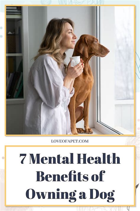 7 Mental Health Benefits Of Owning A Dog Love Of A Pet