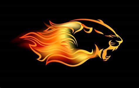 70 Panther Black Background Stock Illustrations Royalty Free Vector