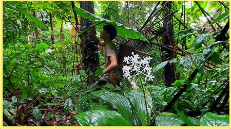 30 ngày thử thách sinh tồn trong rừng ngÀy 11 sống sót trong rừng mưa youtube