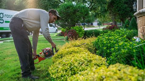 Shrub Trimming vs. Pruning: What’s the Difference & How Will a