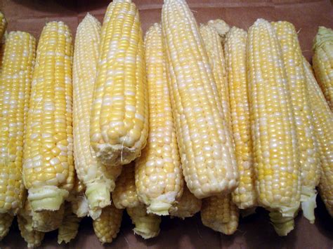 We did not find results for: Headspace: Freezing Corn