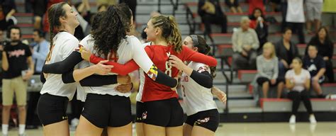 Let me get into all the fun names for cacti i've found scouring the web. Creative titles for essays about volleyball