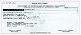 Florida Plumbing License