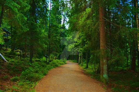 Forest Pathway By Dandelion Field On Deviantart