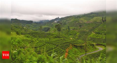 Nuwara Eliya Is Sri Lankas Little England Times Of India