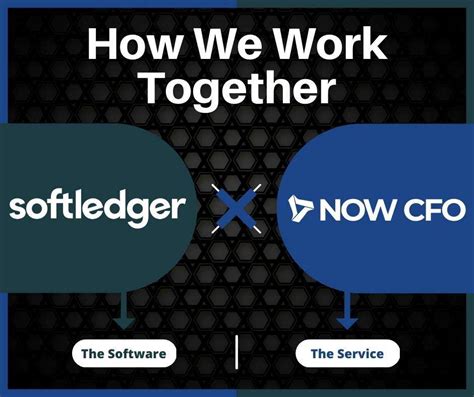 Softledger Partners With Now Cfo To Help Crypto Companies