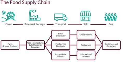 What Is Global Food Supply Chain Fmt Magazine