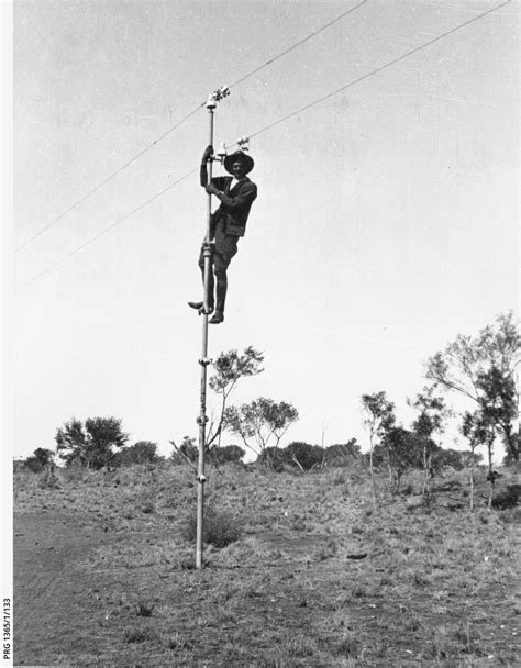 The Overland Telegraph Line • Photograph • State Library Of South Australia