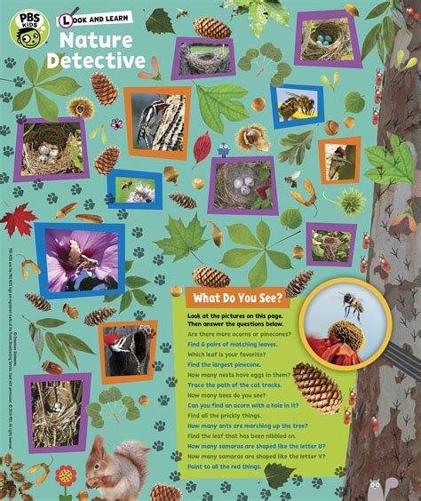 Look And Learn Nature Detective Book By Sarah Parvis Official