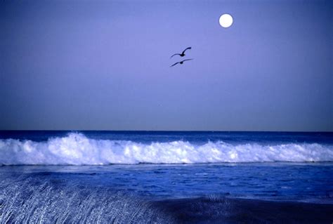 Moon And Sea Wide Screen Wallpapers Wide Screen
