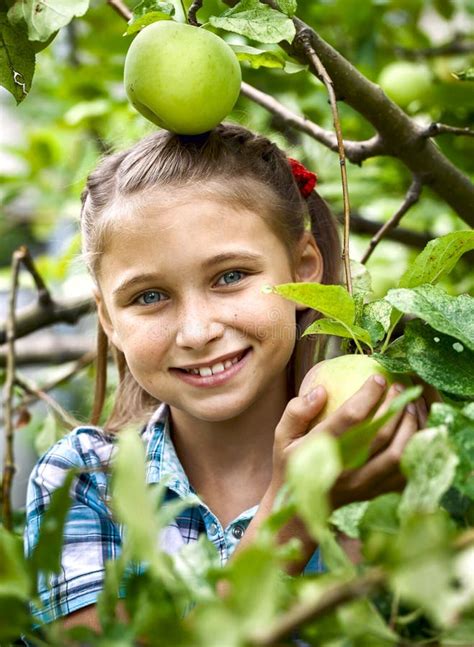 Young Girl In An Apple Orchard Stock Photo Image Of Agriculture