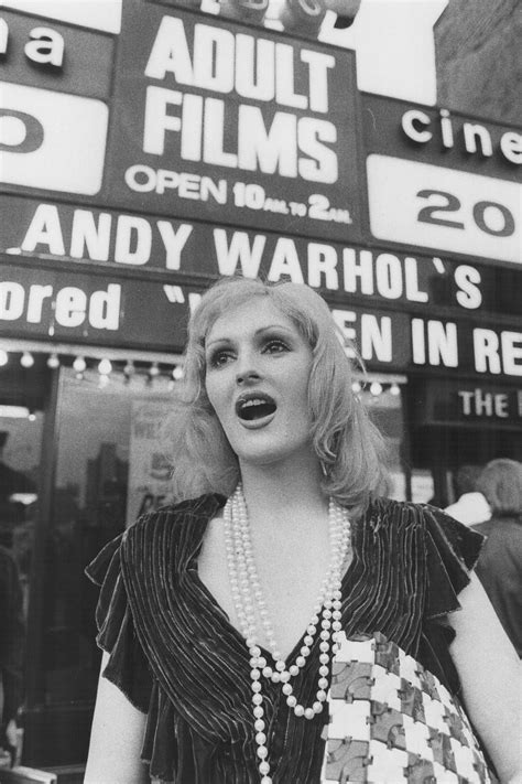 Andy Warhol Superstars Edie Sedgwick History Photos Andy Warhol Joe