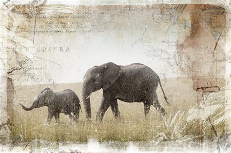 Elephant And Calf Pi Creative Art Online Art Art Online Art