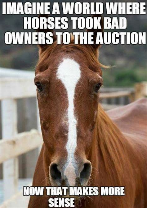 Horse Horse Quotes Funny Funny Horse Pictures Horse Jokes