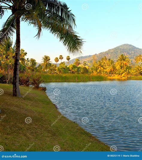 Tropical Lake Stock Image Image Of Lake Land Relaxation 8025119