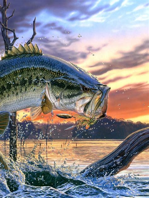 Free Download Bass Fishing Wallpaper Backgrounds Wallpaper Cave