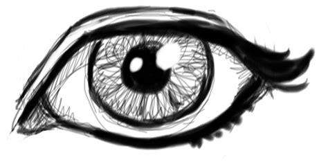 This idea was to draw anime eyes and a carrot (a super hero carrot that was improving the eye's sight). How To Draw A Realistic Eye With Video Guide