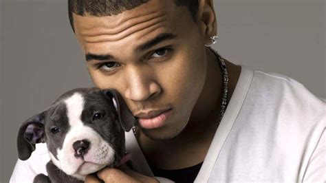 Chris Brown Wallpapers Wallpaper Cave