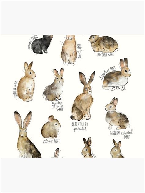 Rabbits And Hares Throw Blanket For Sale By Amyhamilton Redbubble